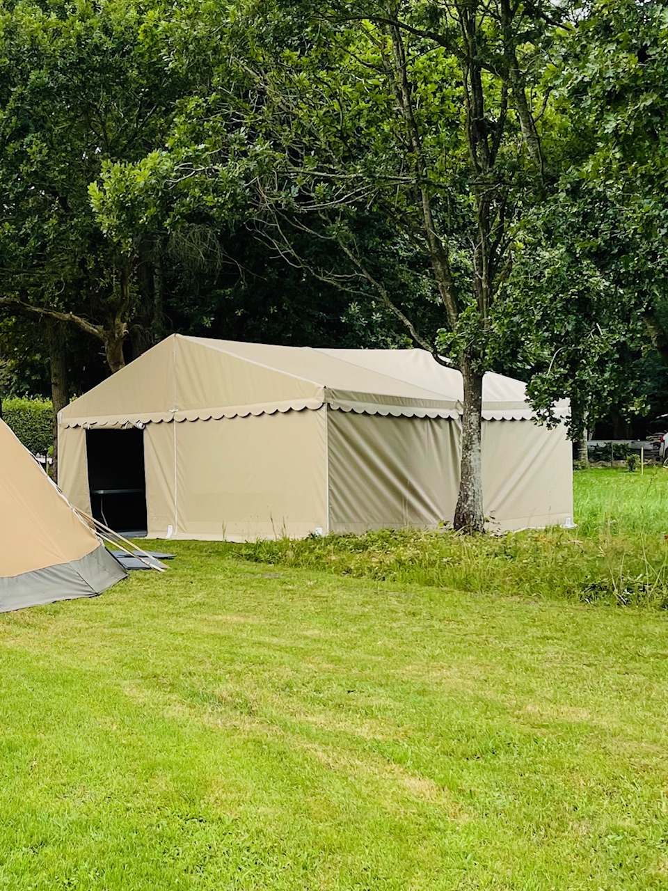 Eight shirts arranged on table in black, olive, grey, blue, white, red, mustard, and green.
