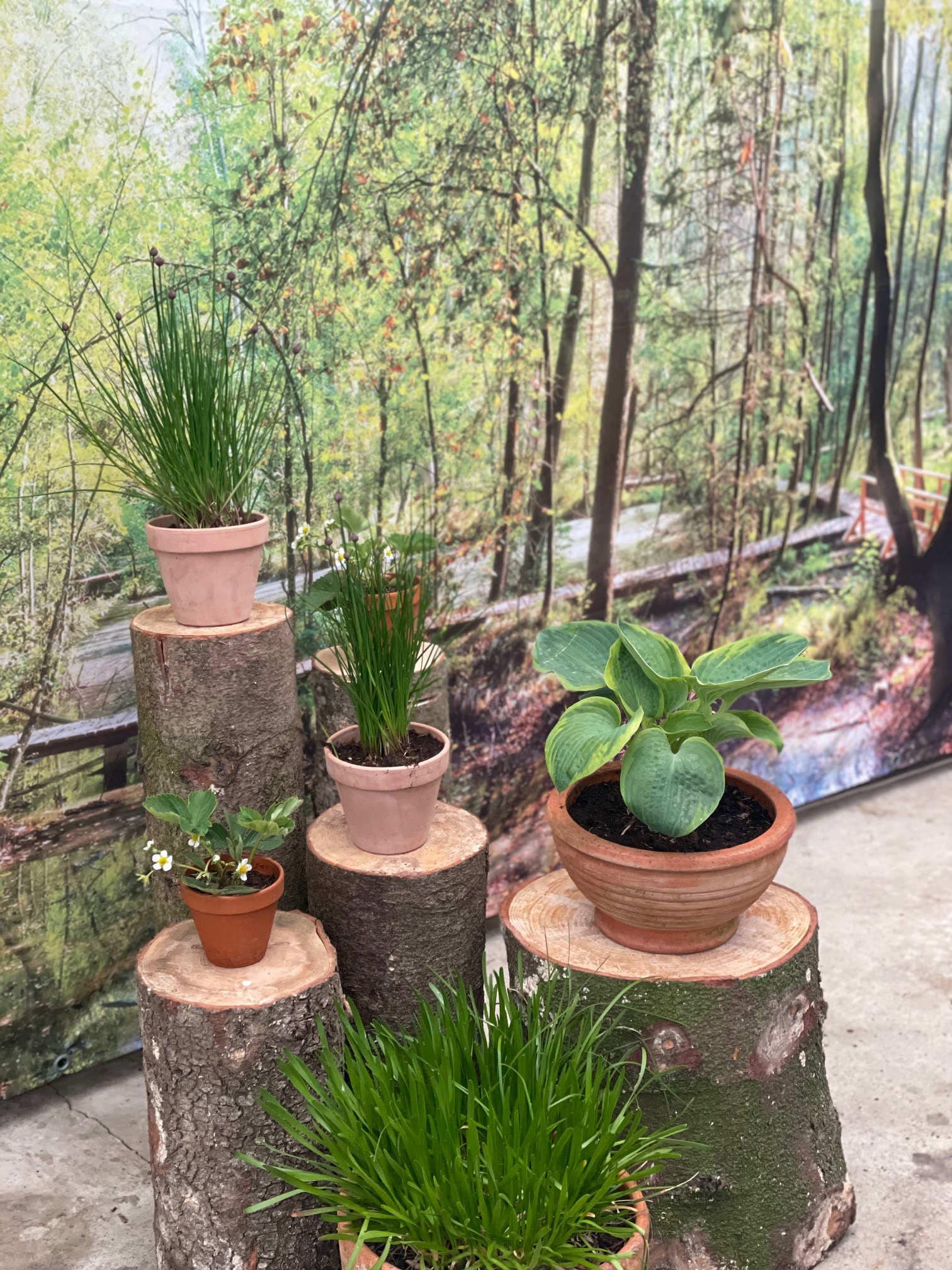 Eight shirts arranged on table in black, olive, grey, blue, white, red, mustard, and green.
