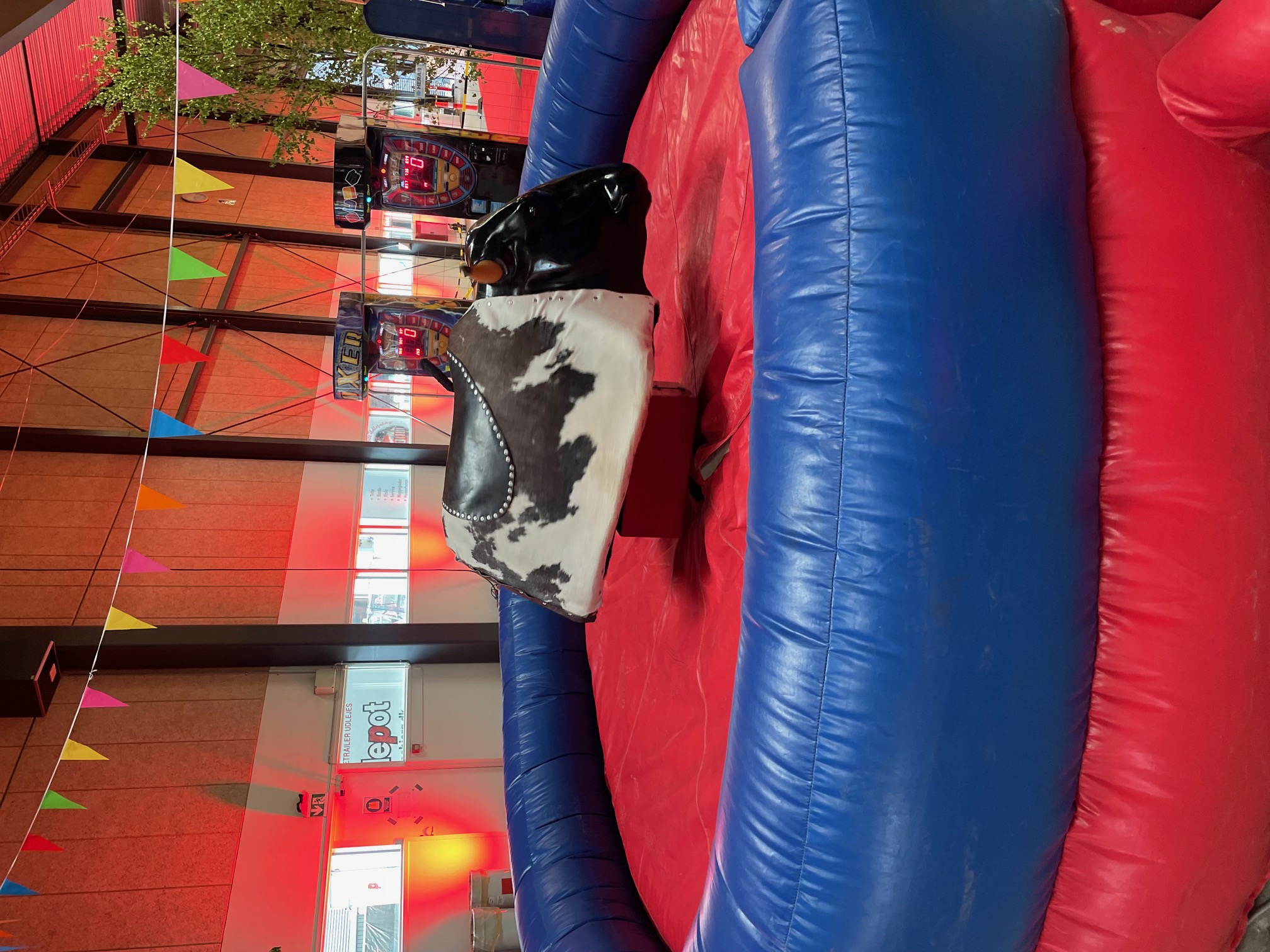 Rodeotyr ID TI 5848 thumbnail 1