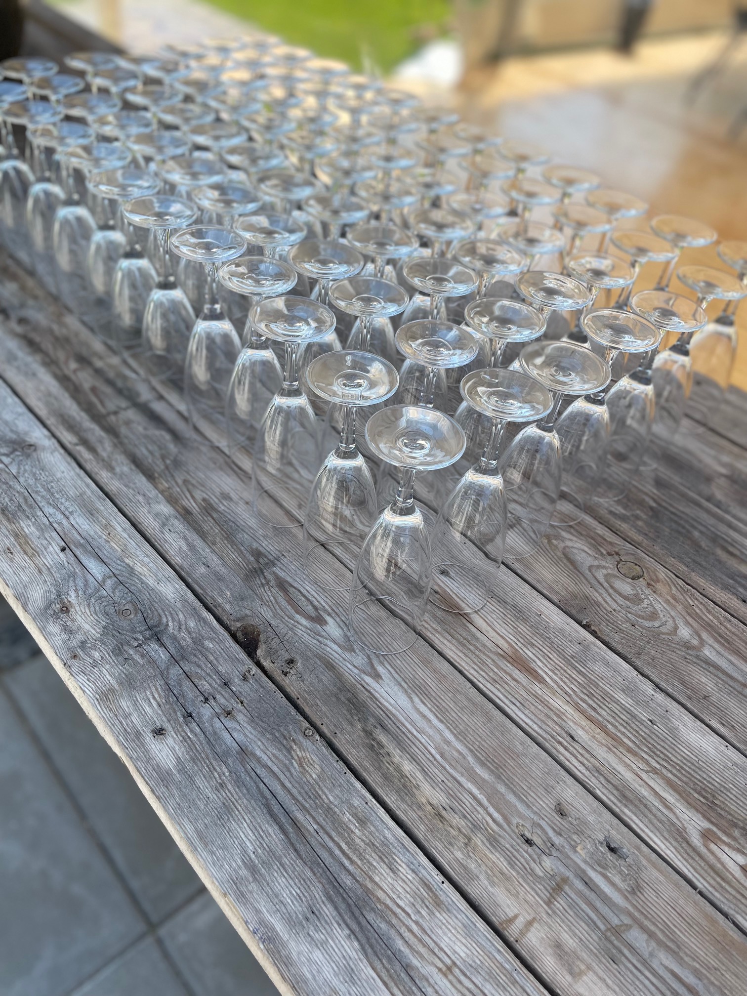 Champagneglas, høj 17 cl thumbnail 3