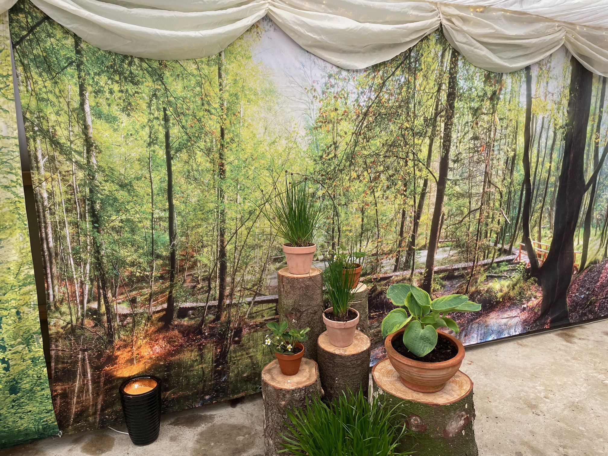 Up Lights thumbnail 1