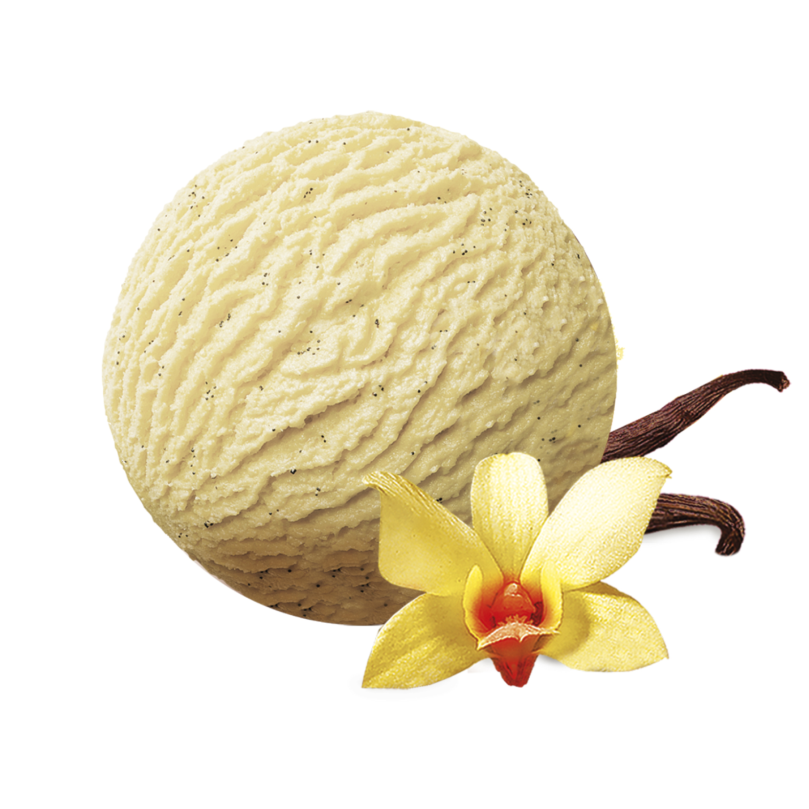 Eight shirts arranged on table in black, olive, grey, blue, white, red, mustard, and green.