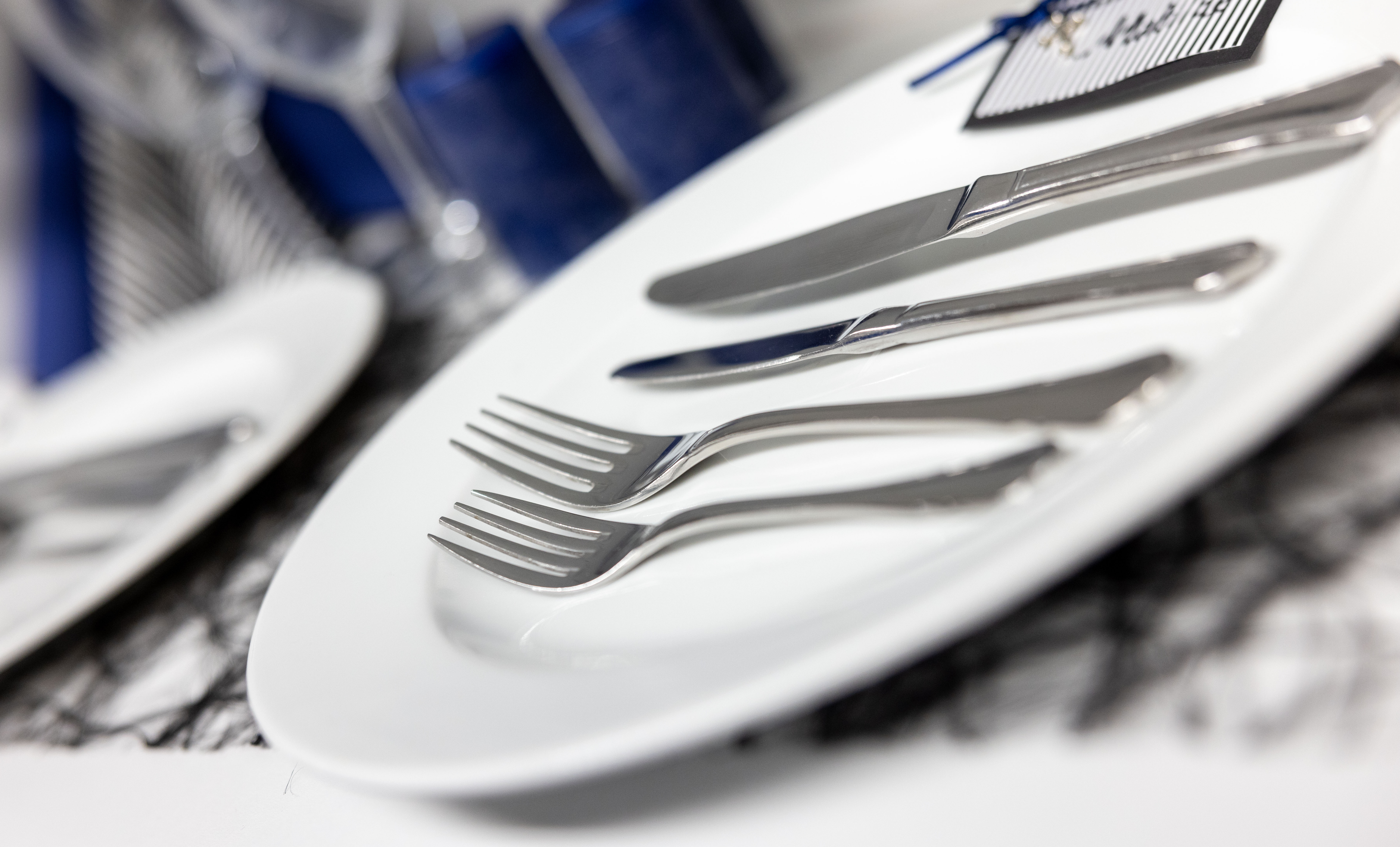 E. Flade tallerkner 24 cm thumbnail 1