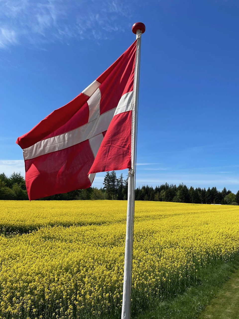 Eight shirts arranged on table in black, olive, grey, blue, white, red, mustard, and green.